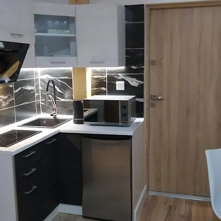 U Iwony Centrum Miasta Blisko Parku Zdrojowego Apartament