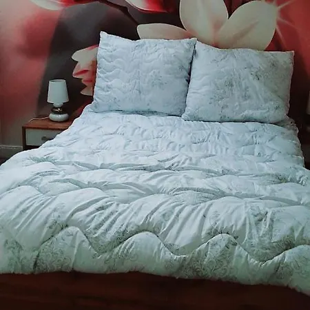 U Iwony Centrum Miasta Blisko Parku Zdrojowego Kudowa-Zdrój