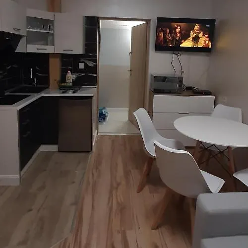 Lägenhet U Iwony Centrum Miasta Blisko Parku Zdrojowego *