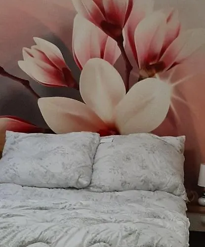 U Iwony Centrum Miasta Blisko Parku Zdrojowego Kudowa-Zdrój